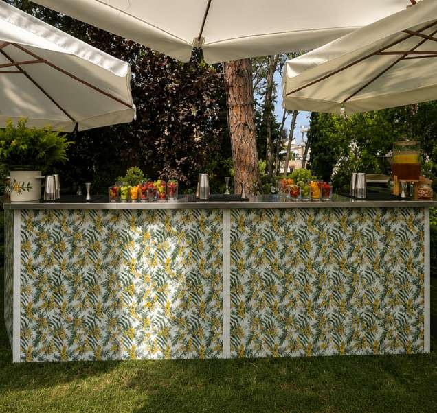 Mimosa botanical bar in a garden